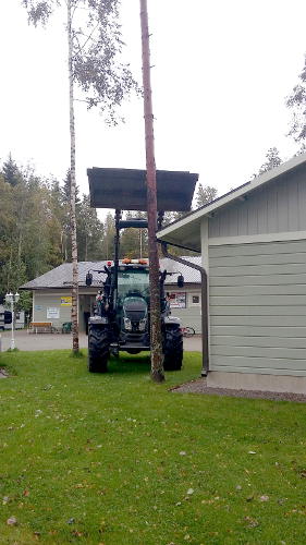 Myrskyn vuoksi osa puista oli kaatua, ja niitä piti tukea.